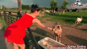 Deutsche schlanke Teen poppt auf der Farm