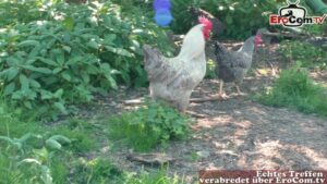 Landwirtin genießt leidenschaftliches Stelldichein in freier Natur